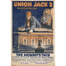(영문도서) The Mummy's Twin Paperback, Stillwoods, English, 9781989788677