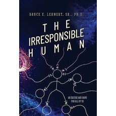 (영문도서) The Irresponsible Human: An Excuse and Hope For All of Us Paperback, Palmetto Publishing, English, 9798822907287