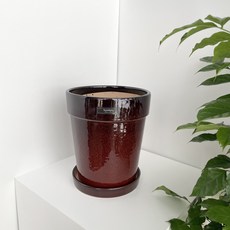 수담화분 받침포함 중형 도자기 화분 분갈이 거실 인테리어 화분, 와인, 1개