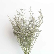 風幹幹花花束情人草ins擺設客廳輕奢家居插花花材裝飾擺件diy, 小束55CM高, 1個