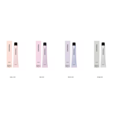 시세이도 염색약 새치 컬러 염색 흰머리 염색 셀프/1제만 (산화제별도), 내추럴브라운-NB6