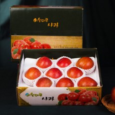 [이슬마루] 경북 사과 선물세트 3kg(11~12과), 1개