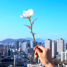크리스탈 홀로그램 장미 꽃 금장미 어린이집 스승의날선물 어린이집 어버이날선물 어린이집 선생님선물 어버이날 카네이션 한송이 카네이션조화 어버이날단체선물, 1개
