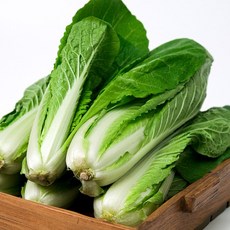 국내산 얼갈이 배추 1단 (800g내외) 외 2단/4단, 01_국내산 얼갈이 배추 1단 (800g내외), 800g, 1개