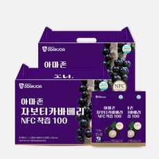DDAKJOA 아마존 자보티카바베리 NFC착즙100, 40개, 60ml