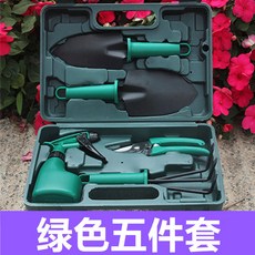 園藝工具套裝 十件禮盒組 修枝剪刀 鏟子 耙子 噴壺 家用種花工具箱, 1個, 綠色五件套