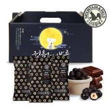 산과들에 다크초콜릿헤이즐넛 정월대보름 부럼세트 20gx20입