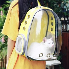 투명 우주캡슐형 이동가방 고양이 강아지 통풍 백팩 이동장 4컬러, 레드, 1개