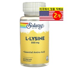 솔라레이 L-라이신 500mg 60베지캡슐, 1캡슐, 2개, 60정