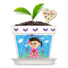 혜명상점 나만의 화분 5인용 (씨앗 포함) 식물키트 화분키트 화분꾸미기 다육화분만들기 만들기재료