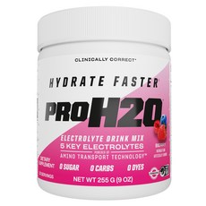 피브이엘 Hydrate Faster PROH2O Electrolyte Drink Mix Berry, 255g, 1개