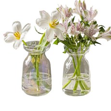 글로우 유리 화병 꽃병 2개세트, 오로라+클리어