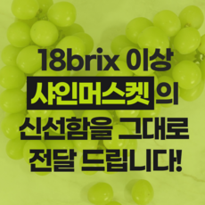 가성비 실속형 경북 샤인머스켓 18브릭스 당도보장, 1박스, 1.5kg (1-3수)