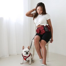 RealPet 四合一狗狗散步腰包, 酒紅色