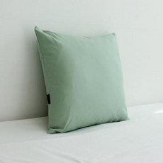 아트박스/샤이닝홈 팬톤 소파 쿠션(솜포함) 50x50 K민트 2P, 단품없음