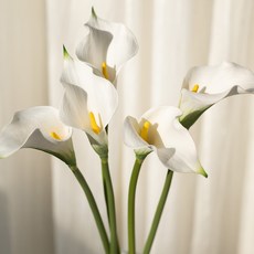 프리미엄 카라 조화 3color 칼라꽃 백합 생화같은 실크플라워 스냅 인테리어 웨딩 부케 쉐미니, 1개, 3 퍼플