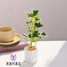 仿真綠植小盆栽 仿真綠蘿 芋葉 爬山虎 仿真植物盆景 辦公室綠植 假綠植 客廳書房假綠植擺件辦公桌面裝飾品, 4645   仿真綠植小盆栽（陶瓷花盆）, 1個