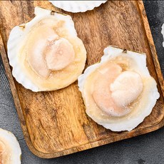 [대국맛짱] 큰사이즈 반 하프 가리비 반가리비 5/6미 [일요일/당일발송], 10개, 180g