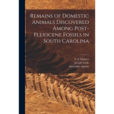 (영문도서) Remains of Domestic Animals Discovered Among Post-Pleiocene Fossils in South Carolina Paperback, Legare Street Press, English, 9781014874061