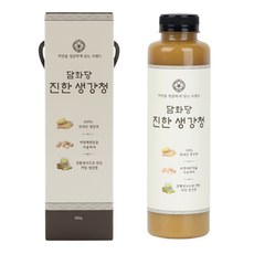 담화당 자연을 정갈하게 담은 국내산 100% 진한 수제 생강청 600g 1개, 1박스