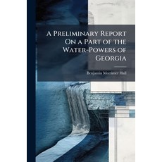 (영문도서)A Preliminary Report On a Part of the Water-Powers of Georgia Paperback, Nabu Press, English, 9781145925939
