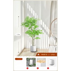 인조 몬스테라 플랜테리어 소품 매장 인테리어 촬영 파초, 1.5m 난디나+화이트 원형