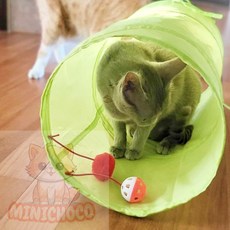 미니초코 고양이터널대형 고양이터널 그린