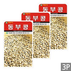 세인화분 동부콩 30g - 콩 씨 씨앗, 3개