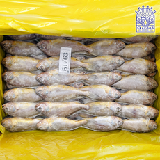 냉동 참조기 60-63미 냉동조기 생선 구이, 1박스, 3.5kg