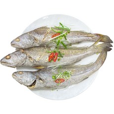 농가살리기 제주산 자연산 반건조 손질, 1개, 통 통치민어 3미(미당 35cm내외, 350g내외)
