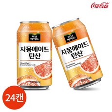 CL 미닛메이드 자몽에이드 탄산 355ml x 24캔, 1개