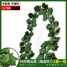仿真葡萄葉藤蔓 爬山虎藤條 常青藤 葉子綠蘿植物假綠葉吊頂裝飾 綠植裝飾, 36葉彩印爬山虎（地瓜葉（12條裝）, 1個