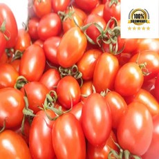 국내산대추 방울 토마토 소과 (3-4과), 1개, 소과 2kg (3-4과)