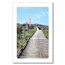 장미빛 주님의 길을 예비하라, 제이비