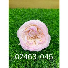 日本大地農園 庭園玫瑰滾邊漸層玫瑰不凋花 永生花 單朵販售 花藝裝飾材料, 02463-045