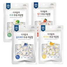 강아지 이갈이 개껌 치실껌 소가죽 우유껌 SS, 4개, 42g, 혼합맛(블루베리/사과/딸기/바나나)