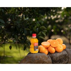 제주랑 천혜향 100%착즙 프리미엄 감귤주스 1box, 320ml, 20개