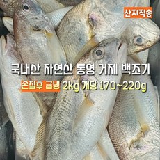 [산지직송] 국내산 자연산 통영.거제 백조기 손질후 급냉 2000g 조기구이. 조림. 제수용. 선물용. 가정용, 1박스, 통영거제 백조기 손질후급냉 2kg 개당 170~220g