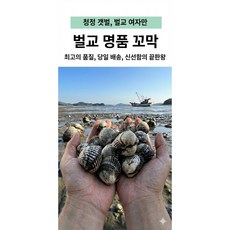 벌교 꼬막 제철 생꼬막 국내산 산지직송 [명교수산], 1개, 중대1kg