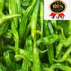 국내산 햇 꽈리고추 특품 못난이 꽈리고추 1kg 2kg 3kg 4kg 내외, 1개, 못난이꽈리고추 500g