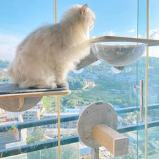 헤라우스점핑 튼튼한 고양이 일광욕 해먹 캣타워, 창문 캣폴 대형, 1세트