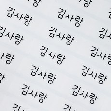 네임코코 소형 방수 네임스티커, 3매입, 100-소형투명 그림없음