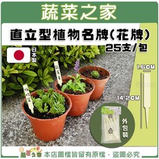 蔬菜之家 直立型植物名牌