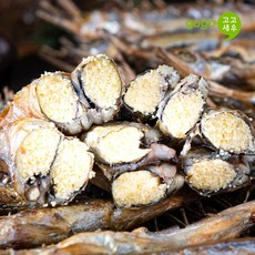 고고새우 알 가득 열빙어 시사모 시샤모 특대 50미 내외 800g, 1팩