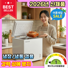 신영전자 소형 김치냉장고 술장고 냉동고 겸용 저소음 1등급 자취방 1인가구 기숙사, A-58L