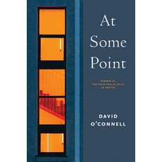 (外文書)At Some Point Paperback, University of Wisconsin Press, English
