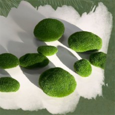 이끼 돌 10p 실내화분인테리어