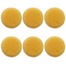 Seimneire 24팩 원형 도자기 스폰지 가죽 관리 페인팅 및 주방용 고흡수성 말 압정 청소 스폰지 |