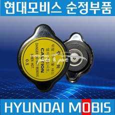 EG5톤 메가225 235마력 라디에이터 캡 0.5 현대모비스 순정 253406A000, 1개