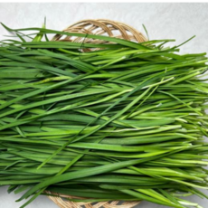 [굿피플] 국내산 신선한 부추 손질부추 국산부추, 1개, 1kg